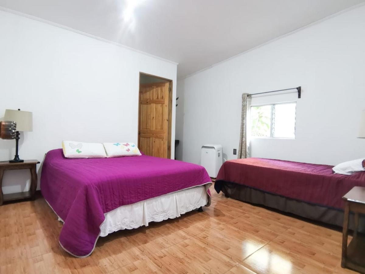 Hotel Casita Happy Feet And Tours Corcovado Drakes Bay Exterior foto
